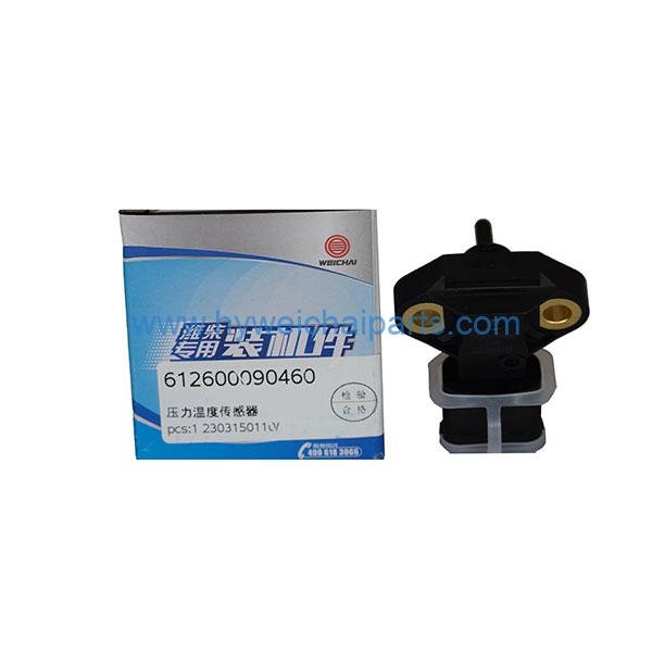 Pressure-and-temperature-sensor-(2) Pressure and temperature sensor