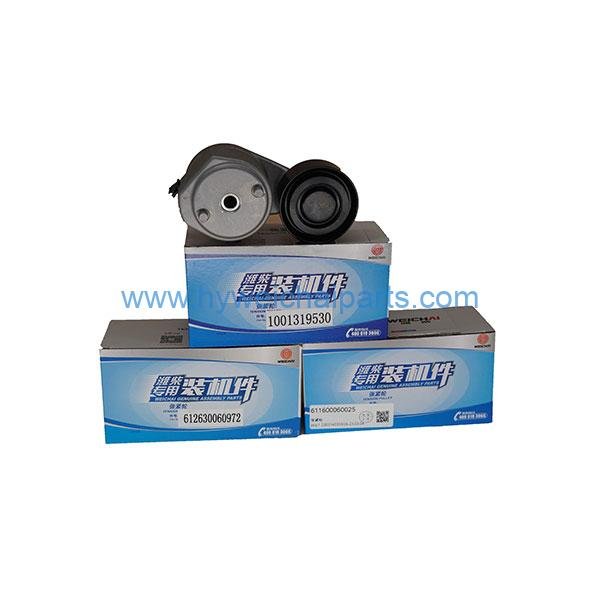 TENSIONER-PULLEY-61160006025 TENSIONER-PULLEY-61160006025